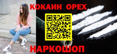 spice Новодвинск